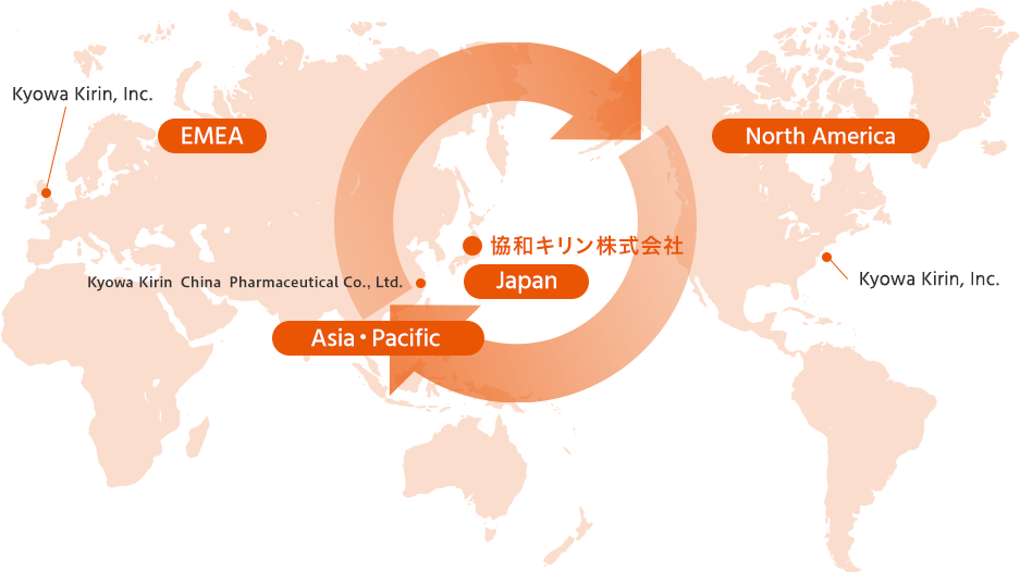 EMEA（Kyowa Kirin, Inc.）、North America（Kyowa Kirin, Inc.）、Asia・Pacific（Kyowa Kirin China Pharmaceutical Co., Ltd.）、Japan（協和キリン株式会社）